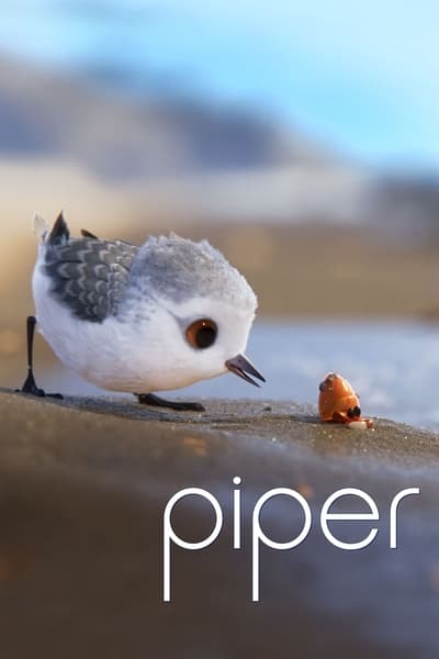 Piper 2016 1080p BluRay DDP 5 1 H 265 -iVy 5463d8a558aefacc8d465ee1d957ef1f