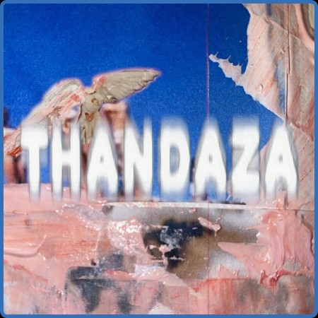 VA - Thandaza 2024
