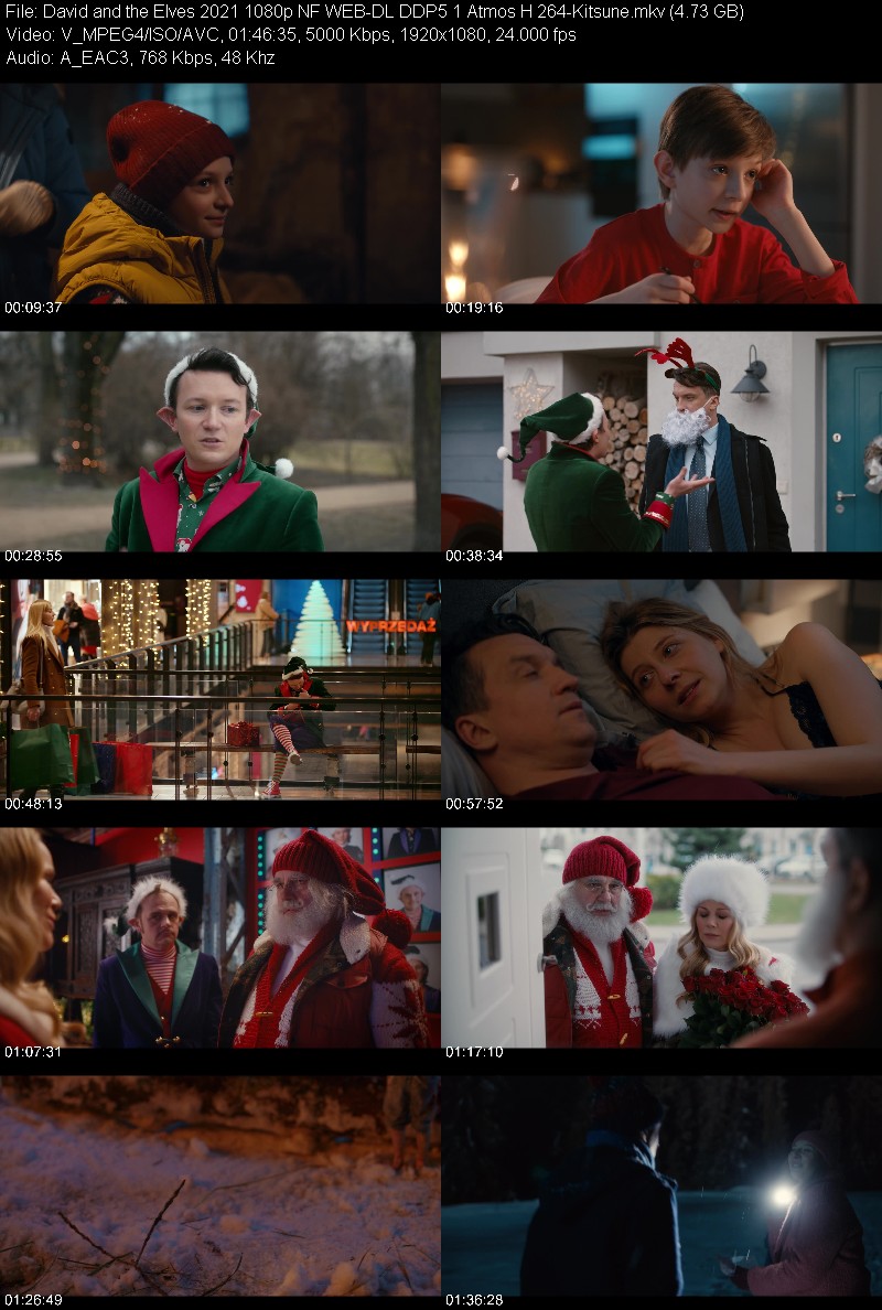 David and the Elves 2021 1080p NF WEB-DL DDP5 1 Atmos H 264-Kitsune 7dbcb8dbff82572db228332f0e2f6060