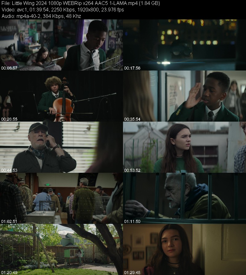 Little Wing (2024) 1080p WEBRip 5 1-LAMA A6261ff7f59a3efc7a0eb502c16c5668