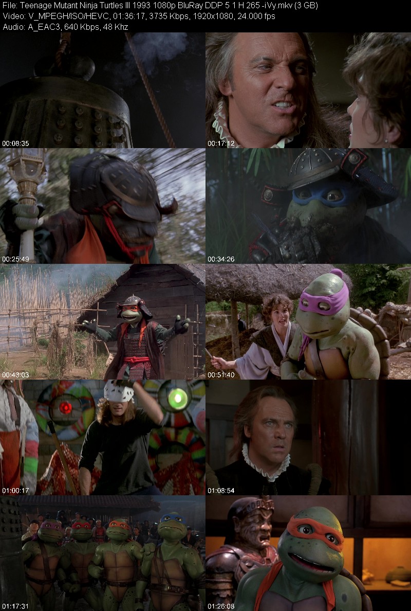 Teenage Mutant Ninja Turtles III 1993 1080p BluRay DDP 5 1 H 265 -iVy 3a1278a3d3de2920334de1231bd31d6d