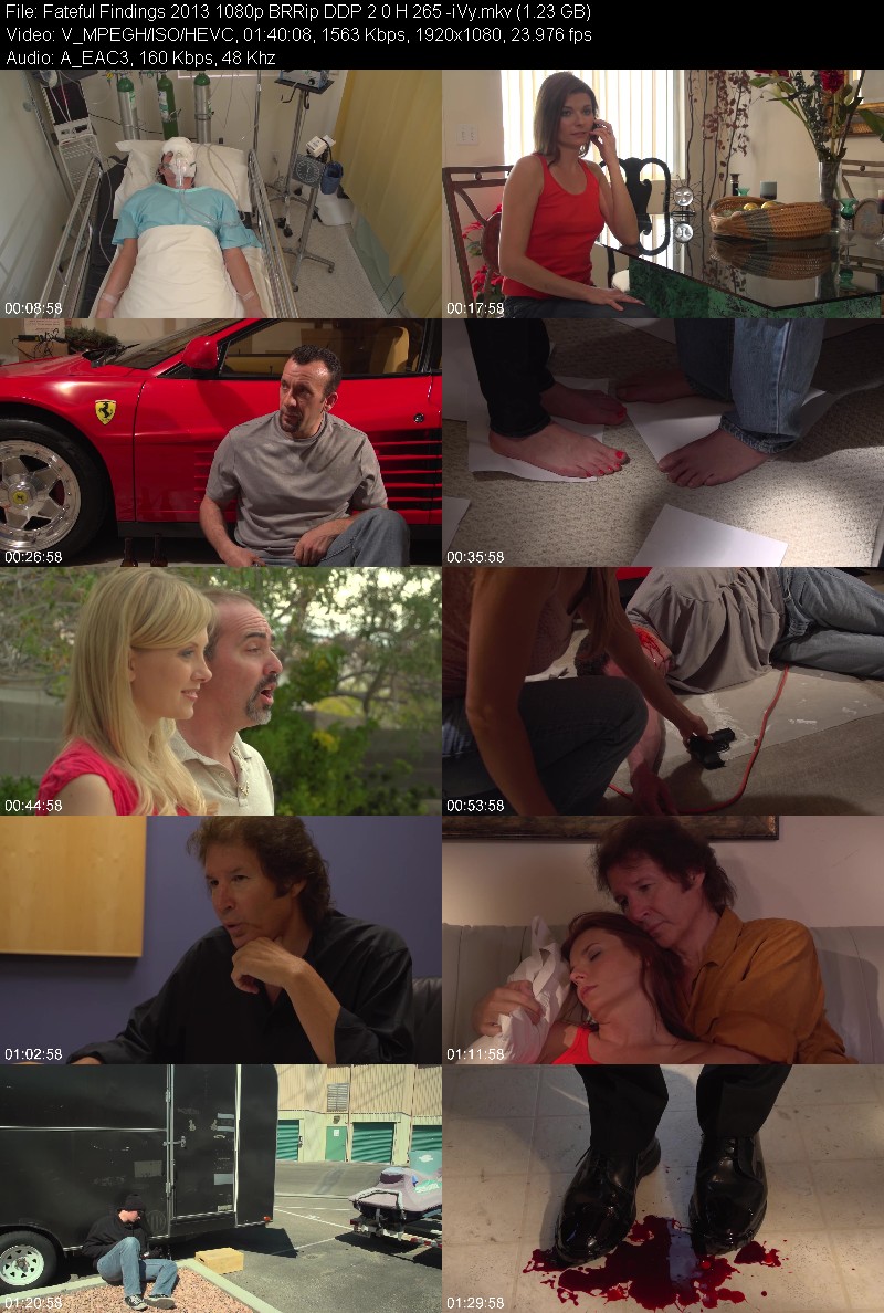 Fateful Findings 2013 1080p BRRip DDP 2 0 H 265 -iVy F100e9123f54df5487ccb2d73ada5970