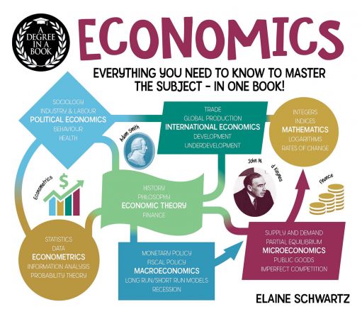 Economics: Everything You Need to Know to Master the Subject: in One Book! (Degree in a Book)