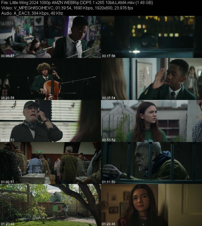 Little Wing 2024 1080p AMZN WEBRip DDP5 1 x265 10bit-LAMA B2fcaf94fe148c0998c16f79ccd44776