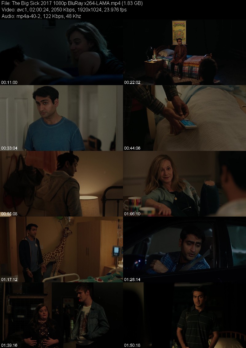 The Big Sick (2017) 1080p-LAMA D4c0bf30cc43580906b5f2c9919aa478