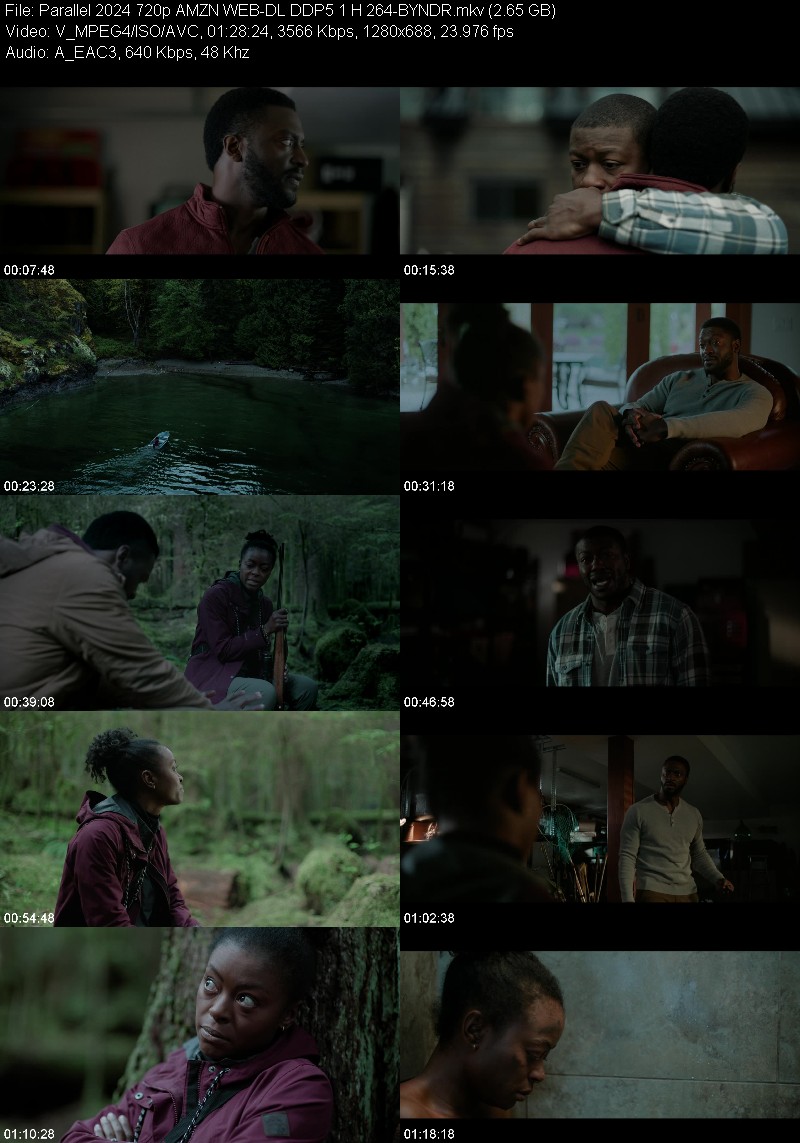 Parallel 2024 720p AMZN WEB-DL DDP5 1 H 264-BYNDR 08596dfeef61232e25e2fc8f6023d17c