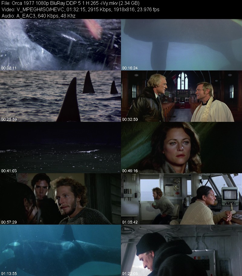 Orca 1977 1080p BluRay DDP 5 1 H 265 -iVy Bb689caf597cf9df77ce220ec608df7d