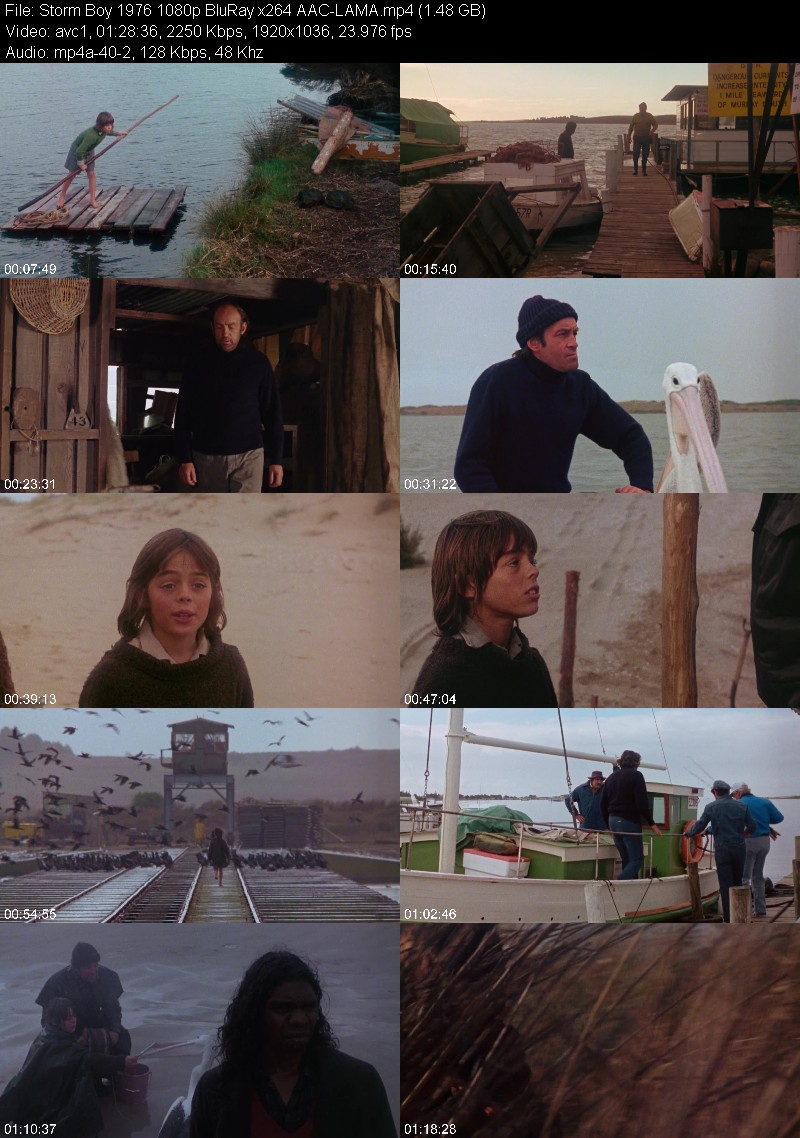 Storm Boy (1976) 1080p BluRay-LAMA Ea8eda931e2a6dee053bcd3b5b1f7d9b