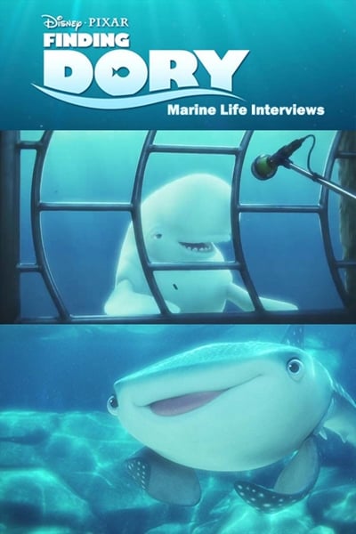 Marine Life Interviews 2017 1080p BluRay DDP 5 1 H 265 -iVy 7e84d7ef2191798e76833ae3a31a82b1
