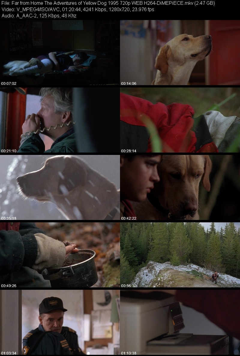 Far from Home The Adventures of Yellow Dog 1995 720p WEB H264-DiMEPiECE 8a0a5fc9f07c7aa326b007ea5b20bdc0