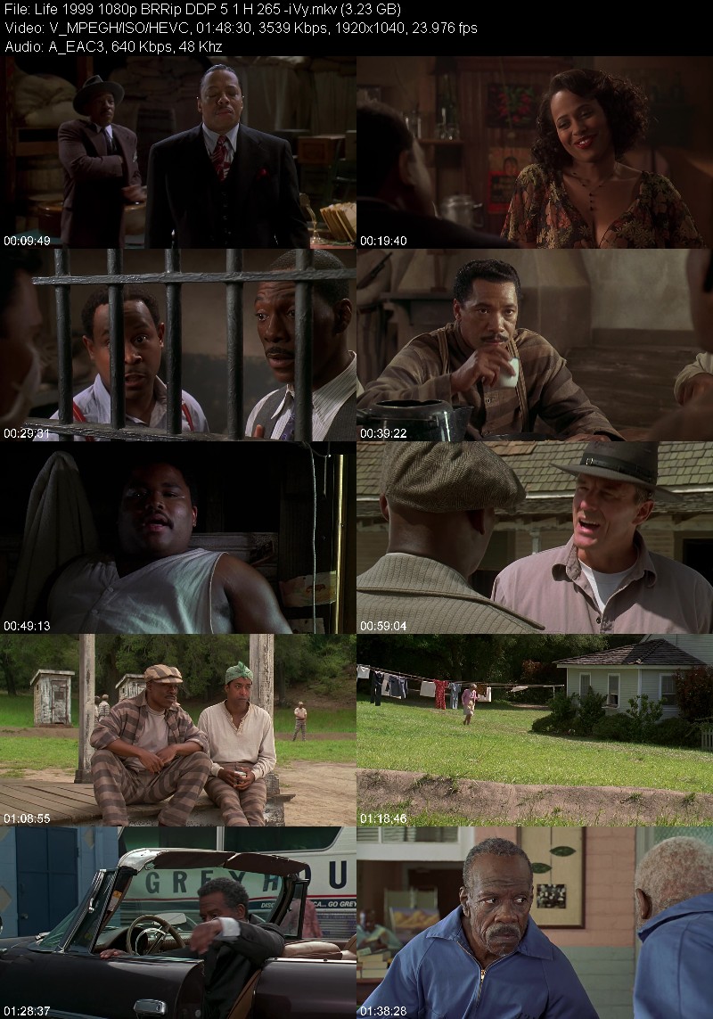 Life 1999 1080p BRRip DDP 5 1 H 265 -iVy 2a1fe230e9b8c9c11012837fe53db0e9