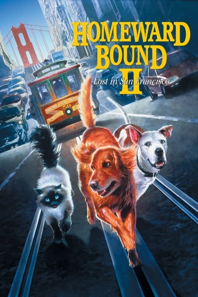 Homeward Bound II Lost in San Francisco 1996 1080p WEBRip DDP 5 1 H 265 -iVy 18f815b7ea12a46addccd53da88672ed