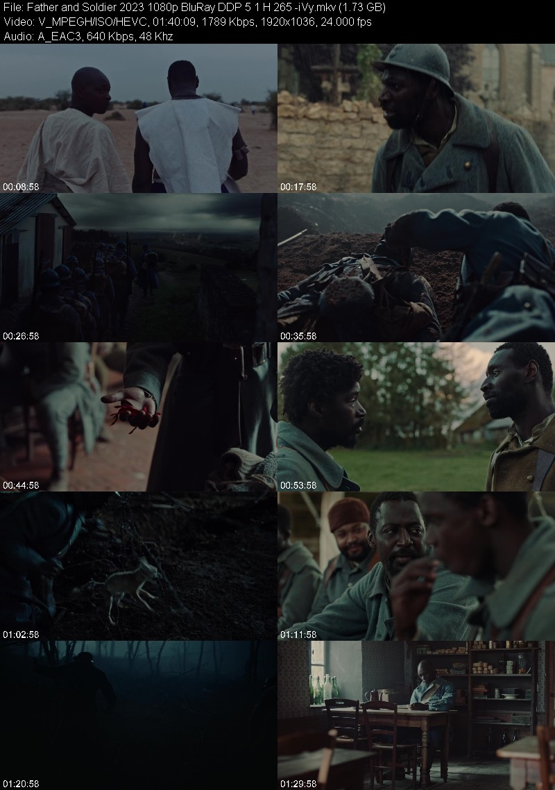 Father and Soldier 2023 1080p BluRay DDP 5 1 H 265 -iVy 06118a9a73d05ab67c90072aeb1109f0