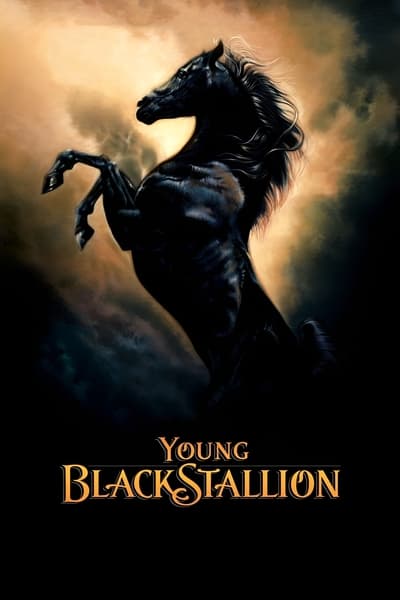 The Young Black Stallion 2003 1080p WEB H264-DiMEPiECE 98cfcfb5c67109b47d11de68f5860f14