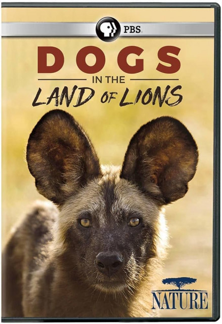 Likaony w krainie lwów / Dogs in the Land of Lions (2018) PL.1080i.HDTV.H264-OzW / Lektor PL