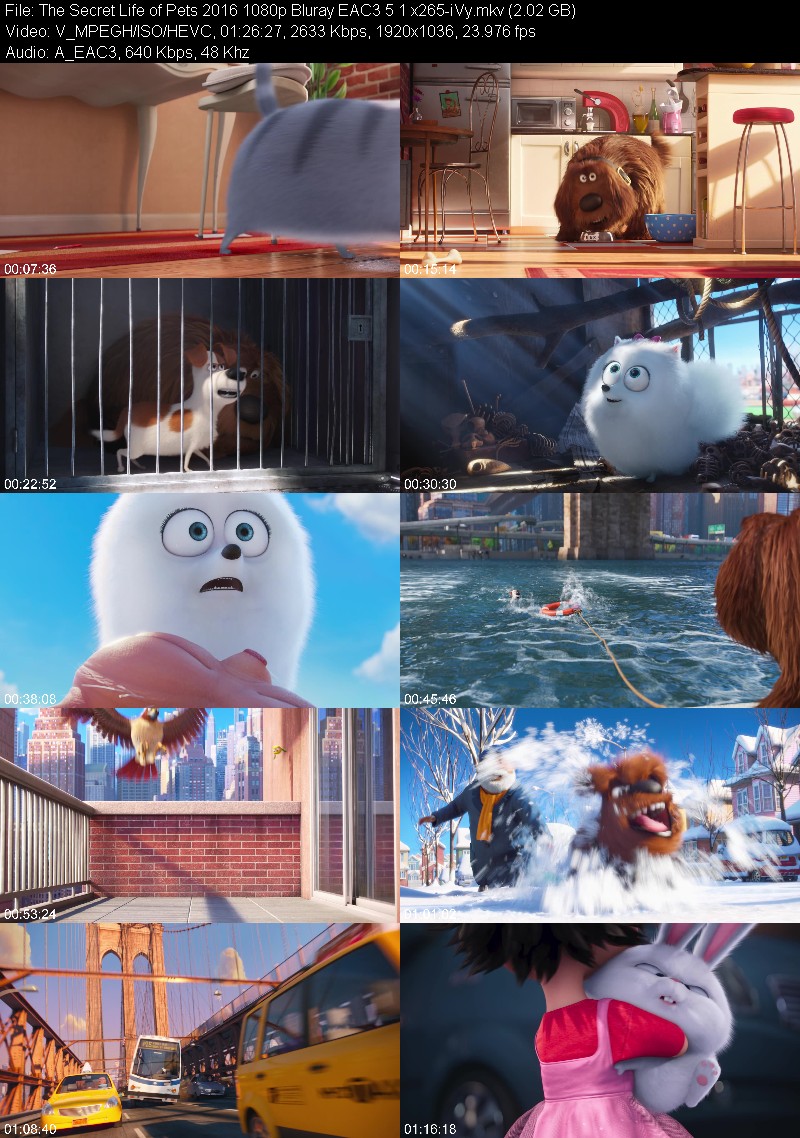 The Secret Life of Pets 2016 1080p Bluray EAC3 5 1 x265-iVy 1b17aa651598f29bc96f4614412bfb5d