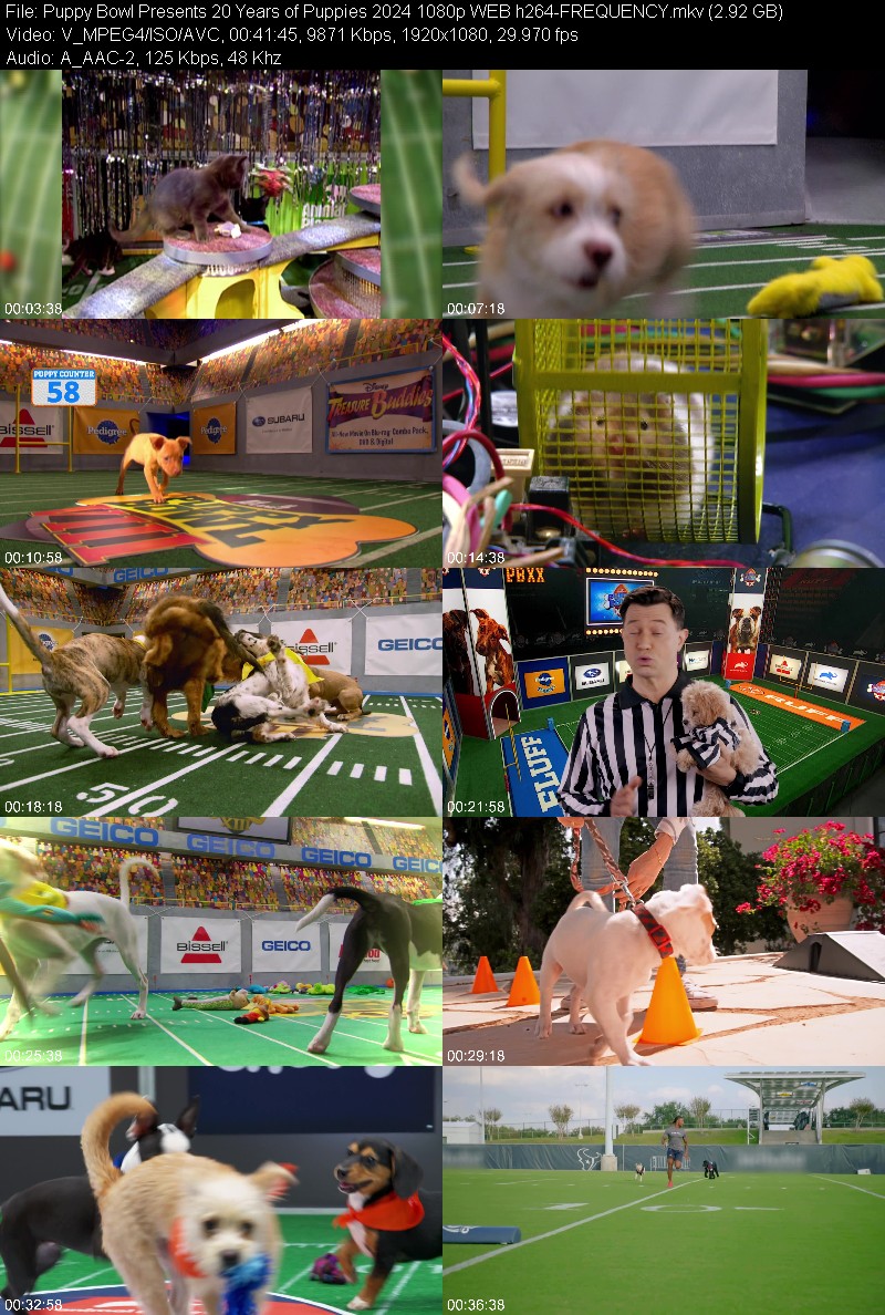 Puppy Bowl Presents 20 Years of Puppies 2024 1080p WEB h264-FREQUENCY Ae2fd165bb99a5c00d97b1895485af67