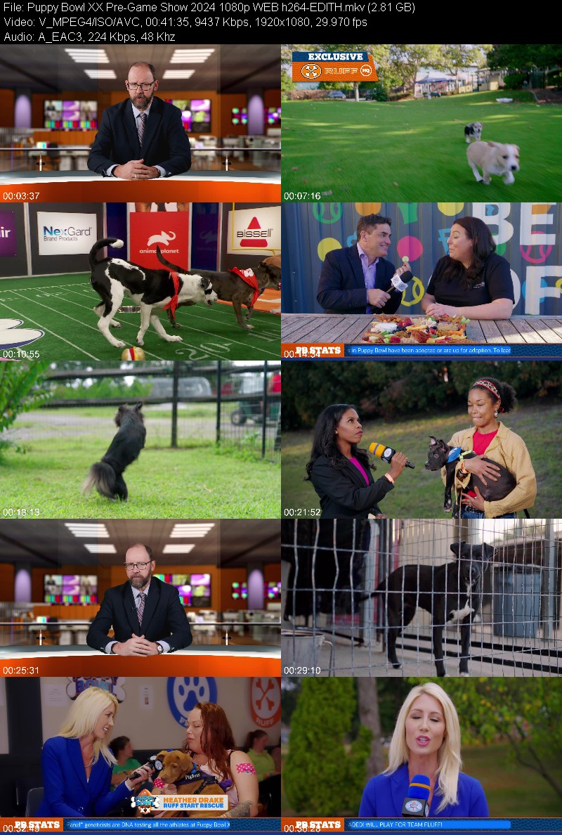 Puppy Bowl XX Pre-Game Show 2024 1080p WEB h264-EDITH C91150c54e156bec59c1d7b2ac3682b9