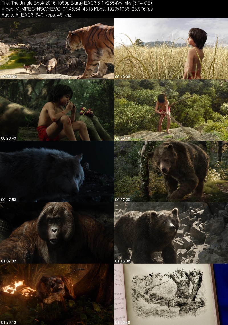 The Jungle Book 2016 1080p Bluray EAC3 5 1 x265-iVy 3fdcd3dd5639d2764ce411663acfc7f0