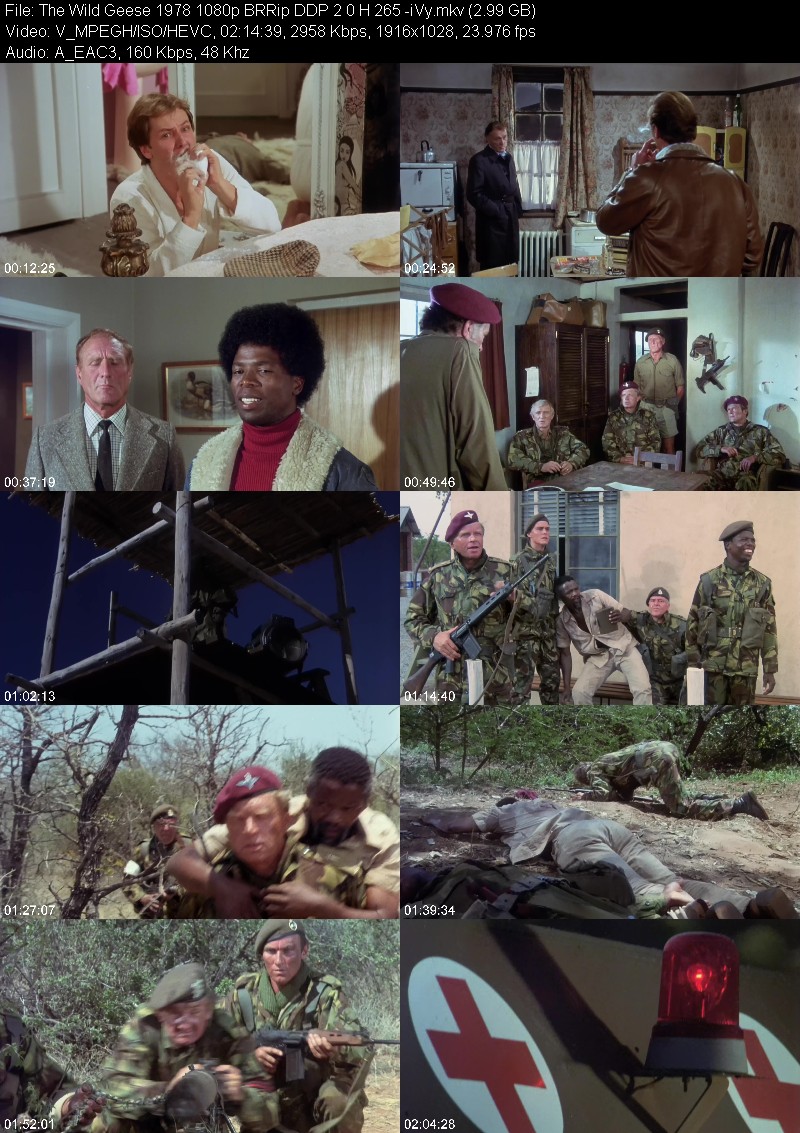 The Wild Geese 1978 1080p BRRip DDP 2 0 H 265 -iVy Ebb5678e4ce65b588980d06bf6d43ef5