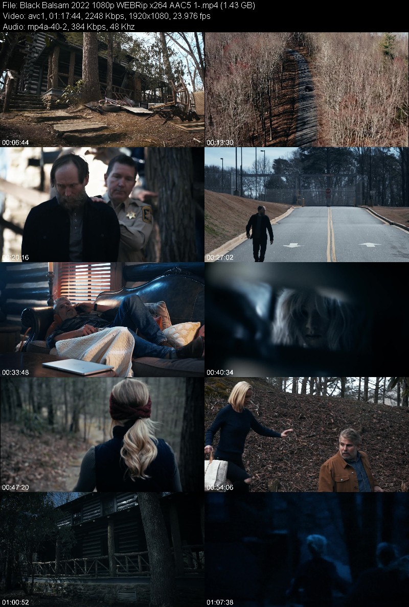 Black Balsam (2022) 1080p WEBRip 5 1 6bfd70a4d14e8a7a96753fbf8efe9306