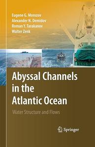 Abyssal Channels in the Atlantic Ocean Water Structure and Flows (2024)