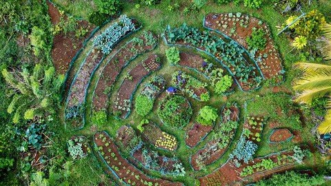 Permaculture Design Mastery Creating Thriving Ecosystems