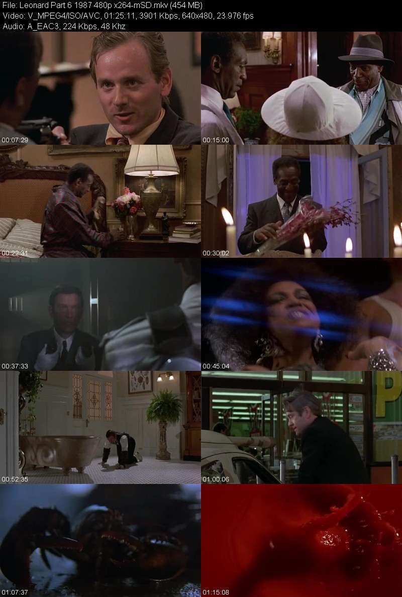 Leonard Part 6 1987 480p x264-mSD Df20d095565813ebf477f1c7b801a75e