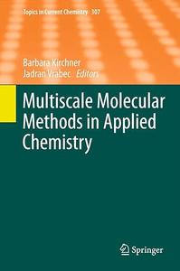 Multiscale Molecular Methods in Applied Chemistry (2024)