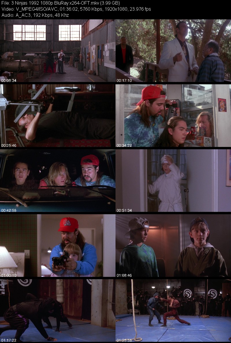 3 Ninjas 1992 1080p BluRay x264-OFT 49e0aa78952525704efaa15d8c747a7c