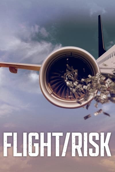 Flight Risk 2022 1080p WEBRip x265 3163e87a3353a04897078b9381322583