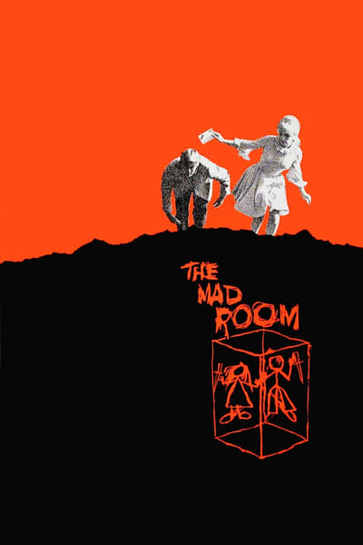 The Mad Room (1969) 1080p BluRay-LAMA 6ba1a5d8dacc5639e24dac5933959790