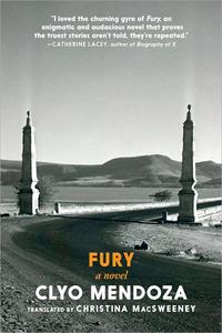 Fury A Novel