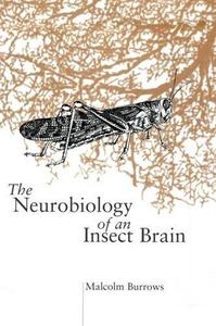 The Neurobiology of an Insect Brain