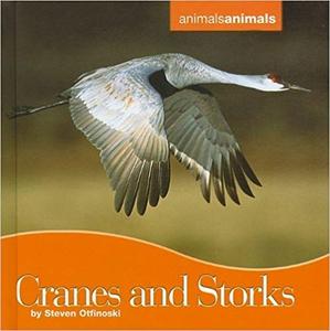 Cranes and Storks