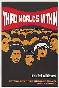 Third Worlds Within Multiethnic Movements and Transnational Solidarity