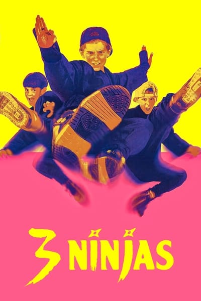 3 Ninjas 1992 1080p BluRay x264-OFT 8531ed0a1b014533fdc2068177b87cb1