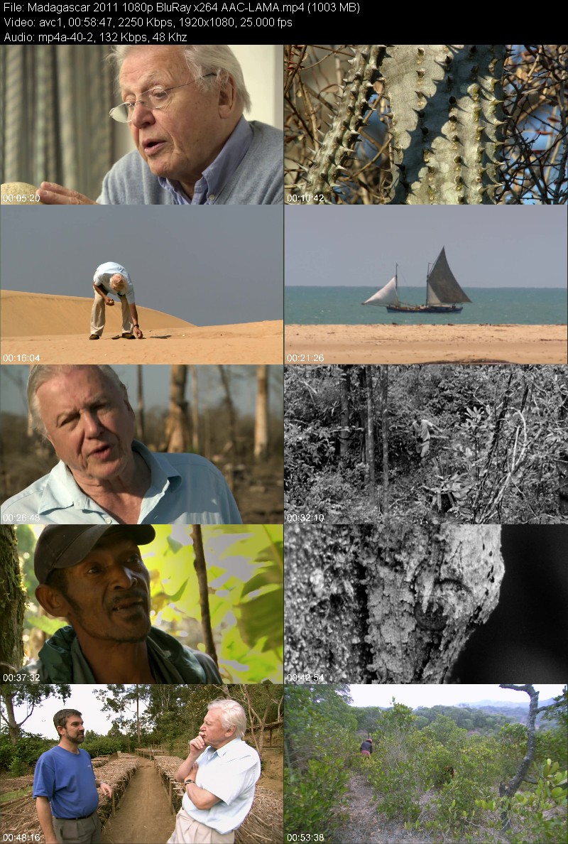 Madagascar (2011) 1080p BluRay-LAMA 1c72b3c330c254acdb84028e8de0e6e2