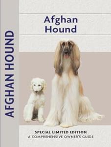 Afghan Hound a Comprehensive Owner’s Guide