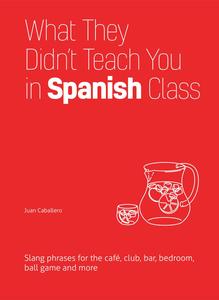 What They Didn't Teach You in Spanish Class Slang Phrases for the Café, Club, Bar, Bedroom, Ball Game and More