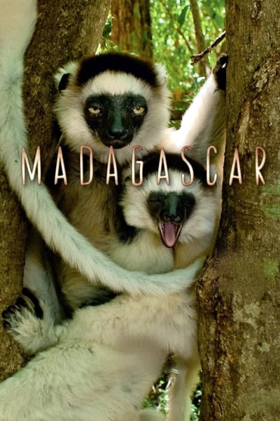 Madagascar (2011) 720p BluRay-LAMA B0c422410b33fa0a988e2ef541b674f2