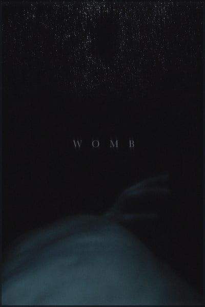 Womb 2017 1080p BluRay x264-BiPOLAR 68a6a3a36400c6aae5c2c25745bc1411