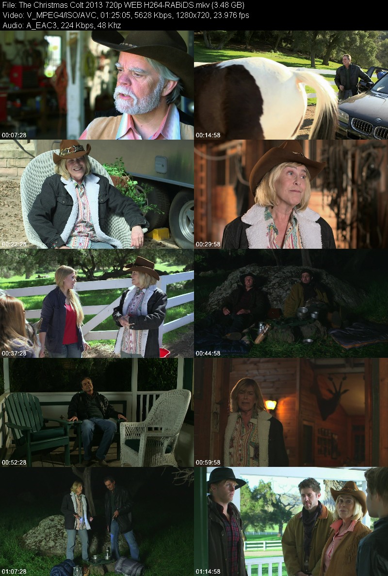 The Christmas Colt 2013 720p WEB H264-RABiDS 23b4a682f3da7cdbc2be280e2aa5931e