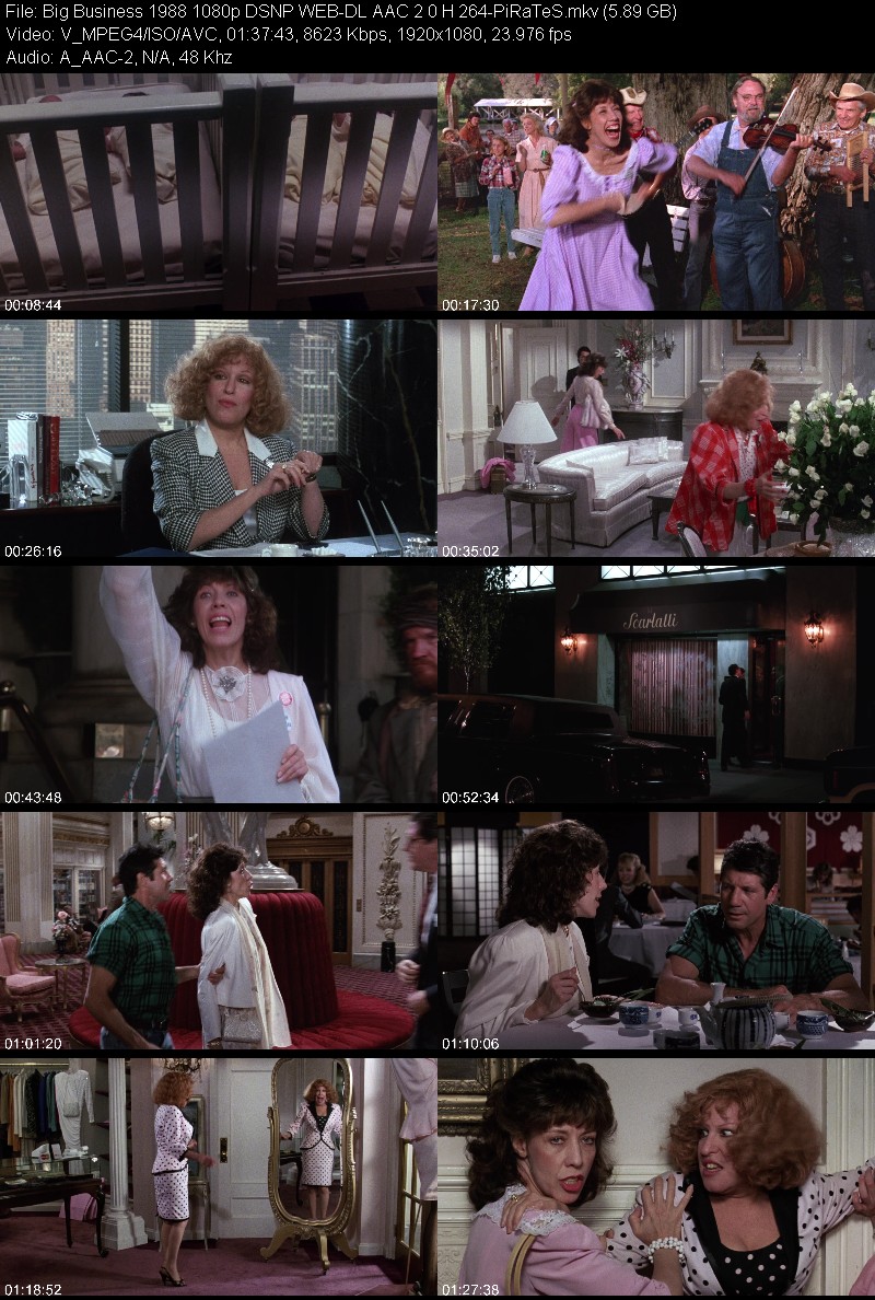 Big Business 1988 1080p DSNP WEB-DL AAC 2 0 H 264-PiRaTeS 9c621b019691a3b0dfc3a3c705154236