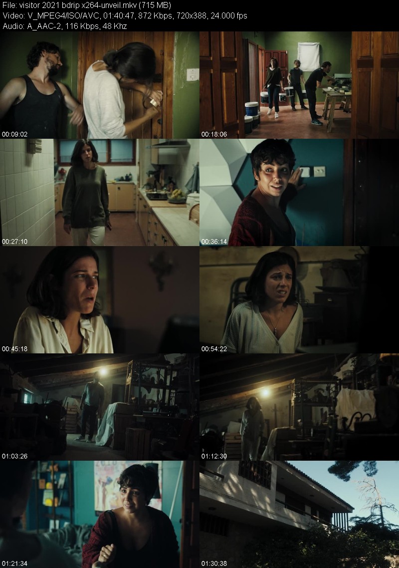 Visitor 2021 BDRip x264-UNVEiL C39cdc3f756e3fbd6a23c3b89e046641