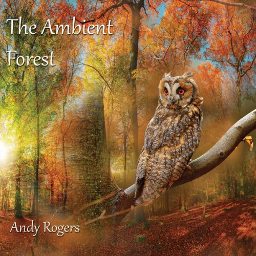 Andy Rogers - The Ambient Forest (2024) FLAC