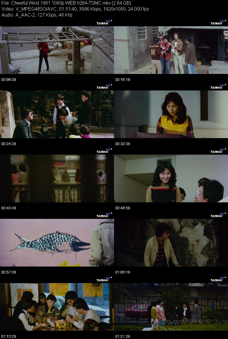 Cheerful Wind 1981 1080p WEB h264-TSMC 904b0be6a5f0eccb6e83e7537566ee4e