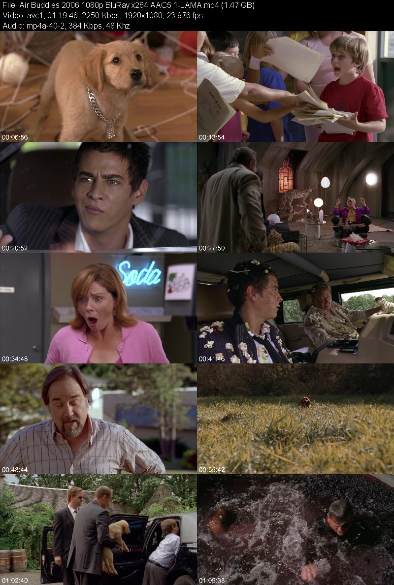 Air Buddies (2006) 1080p BluRay 5 1-LAMA 867517346c88b2b4dc16915052b16a54