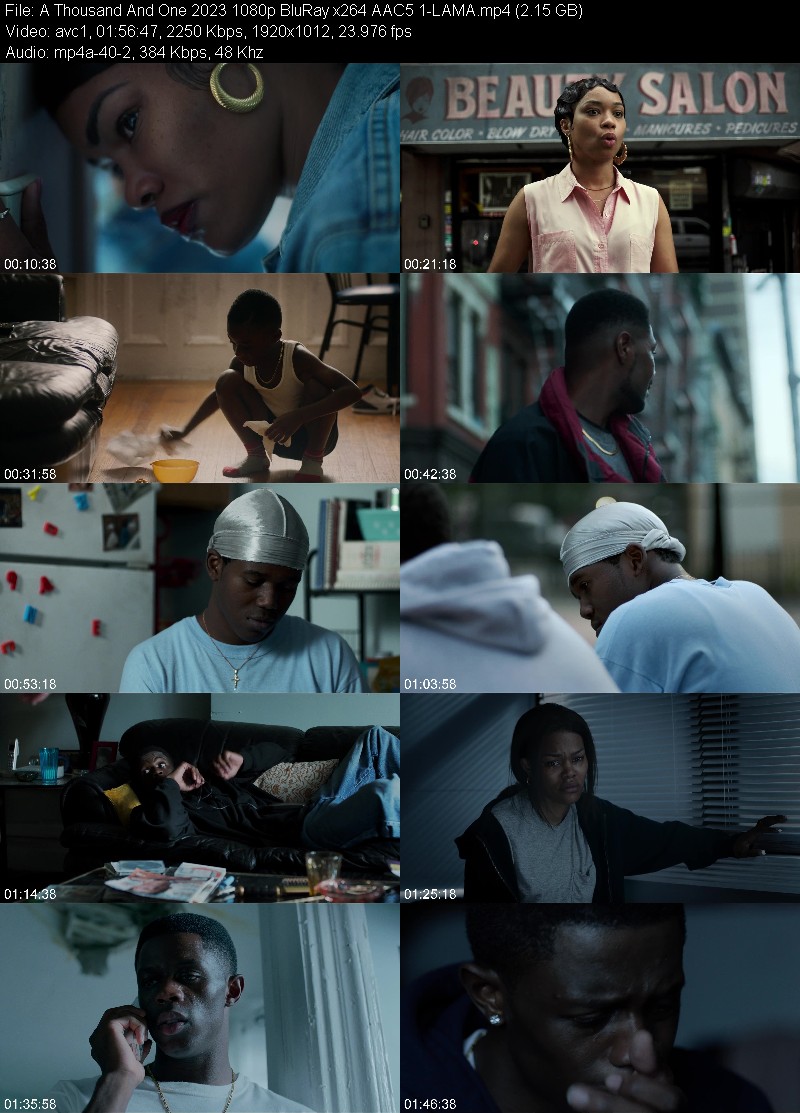 A Thousand And One (2023) 1080p BluRay 5 1-LAMA 3f91a58a544061fda4d8c24451bcee6d