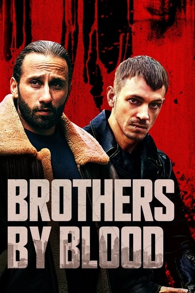 Brothers by Blood 2020 MULTI 1080p WEB x264-LOST E46e3f31b714fca99fefc41b39fac099